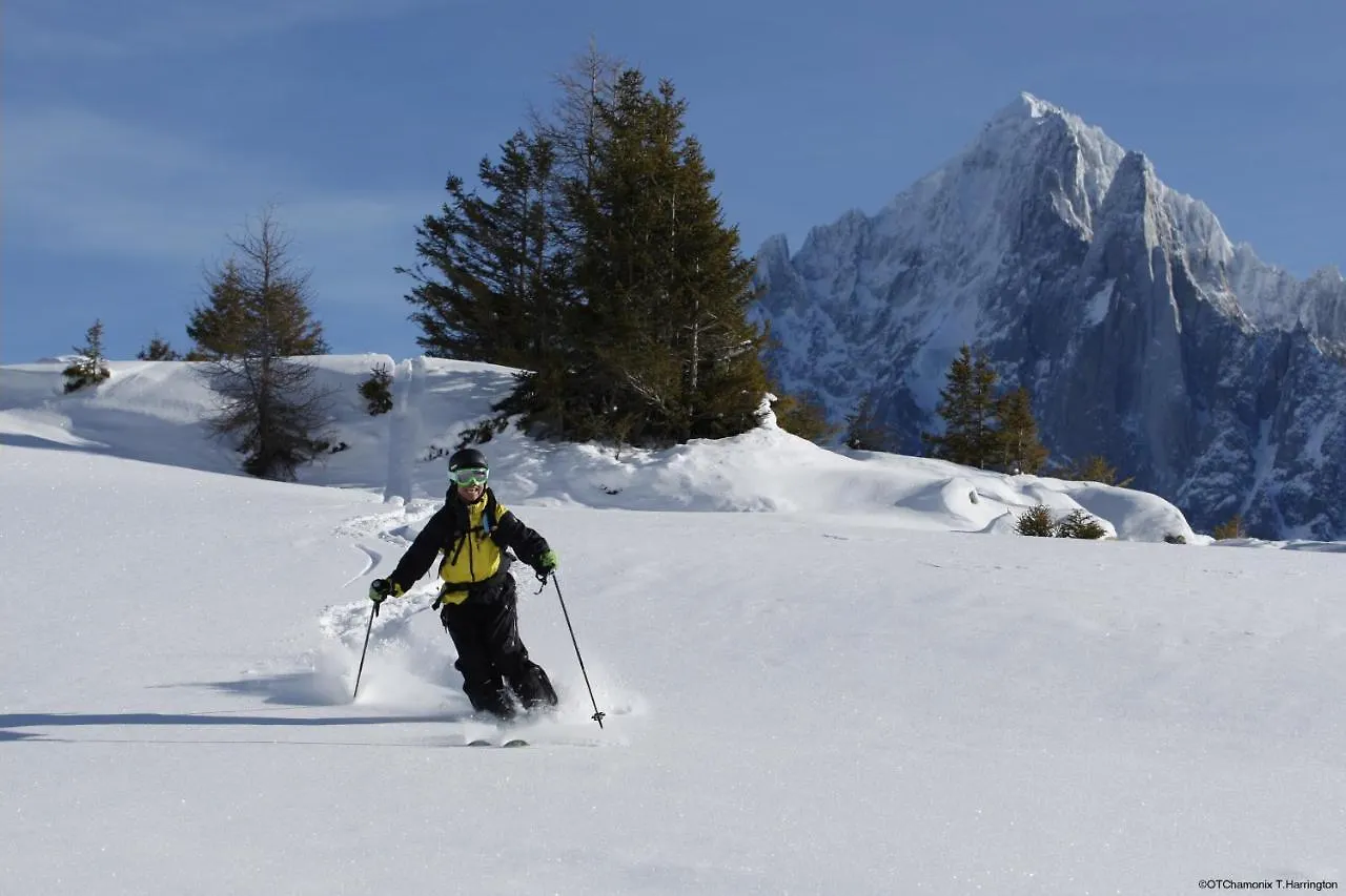 Villa Mon Idee Appt 1 - Chamonix All Year France